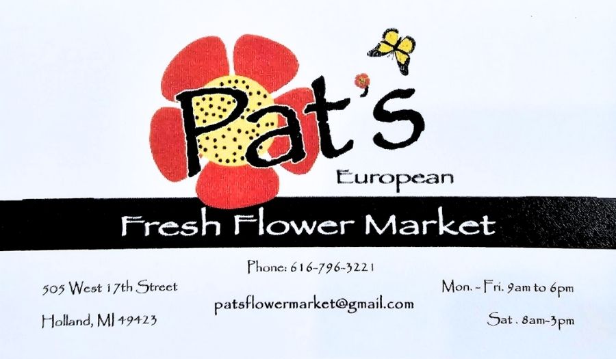 Untitled design (15)